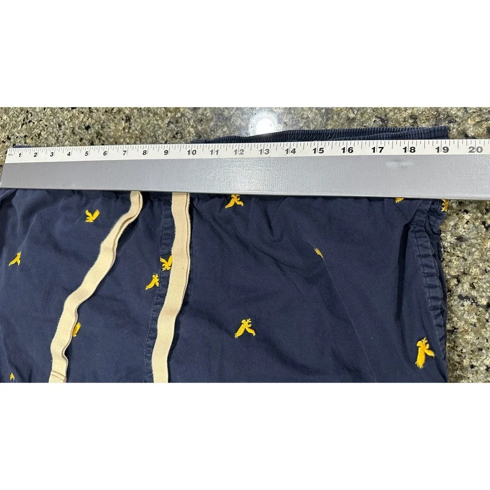 American Eagle Outfitters Mens Dorm Pants Size L Drawstring Blue Yellow Birds
